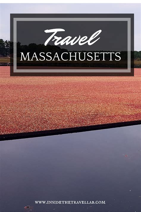 The Best Cranberry Bog Tours in Massachusetts | Boston things to do