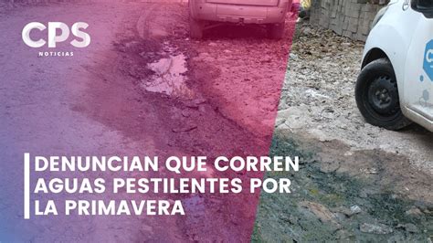 Denuncian Que Corren Aguas Pestilentes Por La Primavera CPS Noticias