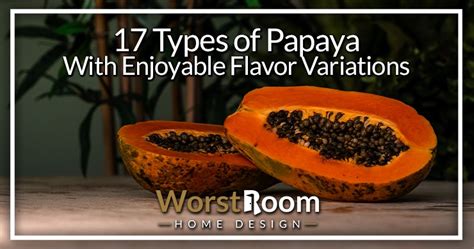 17 Types of Papaya With Enjoyable Flavor Variations - Worst Room