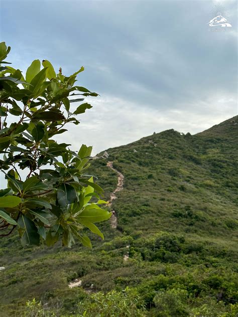 龍蝦灣行山兼放風箏︱360度超靚西貢海景 山全部都係山