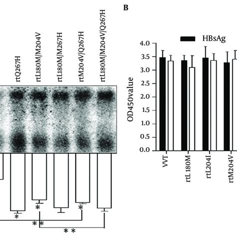 Replication Ability And Antigen Expression Levels Of Wt Hbv Mutants