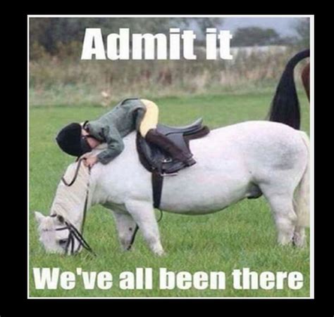 45 Horse Memes Guaranteed to Make You Smile