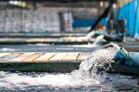 As Puedes Pedir Una Pipa De Agua En La Cdmx Factor Nueve