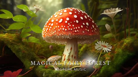 Magical Forest Music Healing Nature Sounds Forest Music Sleep Better Deep Healing Relaxing