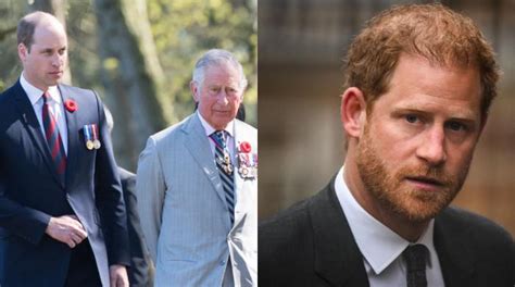 Prince Harry Not Forgiven By King Charles Prince William