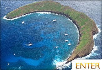 Molokini Snorkeling Map | Molokini Crater Maui, Hawaii