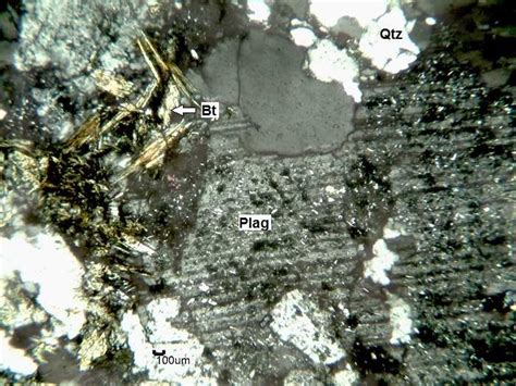 Photomicrograph Of Deformed Granite Gneiss Containing An Assemblage Of Download Scientific