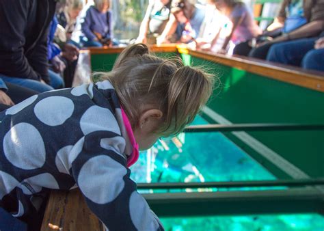 World Famous Glass Bottom Boats at Silver Springs State Park | Jason Daniel Shaw