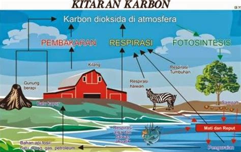 Kitar Karbon