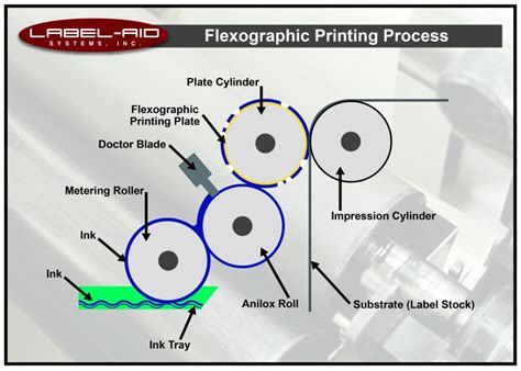 In Flexo L G Ng D Ng C A K Thu T In Flexo Trong In N In Vi T H N