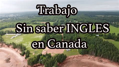 Cómo irse a vivir a Canadá sin saber inglés Haras Dadinco