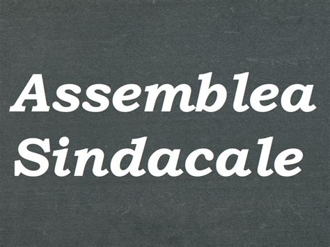 assemblea sindacale   pssg
