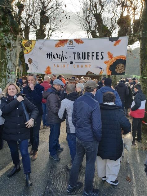 La Truffe Du Bugey Une Saveur De L Ain Et Un Mets D Exception La