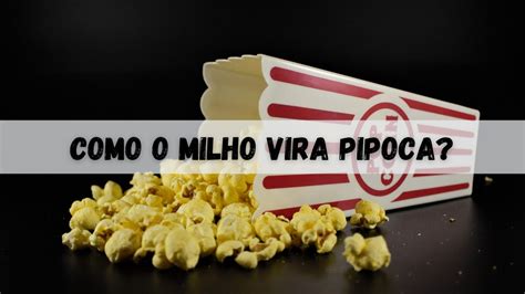 Como o milho vira pipoca Ciência Explica YouTube