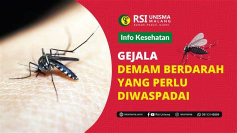 Gejala Demam Berdarah Yang Perlu Diwaspadai RSI Unisma