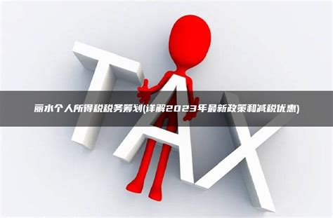 丽水个人所得税税务筹划 详解2023年最新政策和减税优惠 灵活用工平台