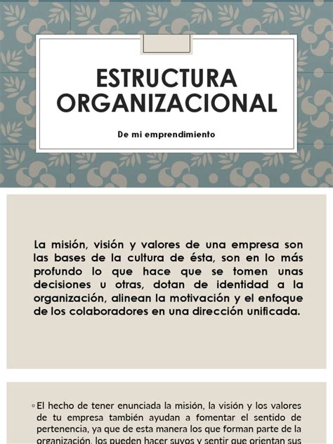 Estructura Organizacional Pdf Business Economias