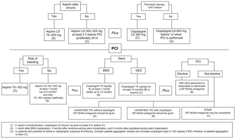 The 2007 Update On The Recommendations Of The Acc Aha Scai 2005 2007