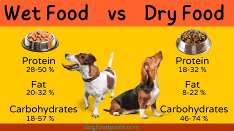 Wet Or Dry Dog Food: Which Is Better For Your Pet?