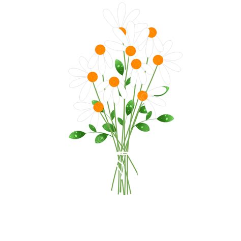 White Daisy Flower Daisies White Flower Bunch PNG Transparent