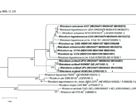 Maximum Likelihood Tree Inferred From Partial Sequences Alignments Of