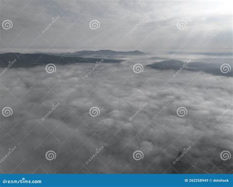 Aerial Drone Footage Of Misty Fog Blowing Over Pine Tree Forest On A