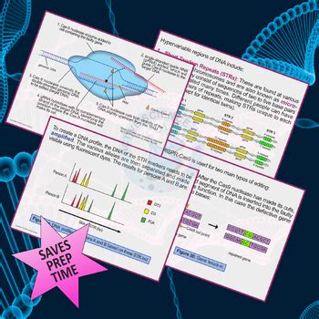 Genetic Engineering Techniques (PowerPoint presentation) | TPT