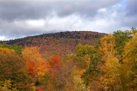 fall foliage, trees 4k wallpaper - Coolwallpapers.me!