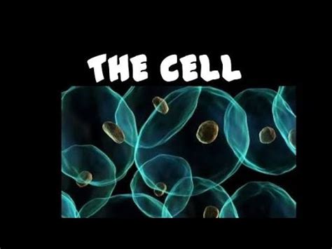 Cell Unit Of Life YouTube