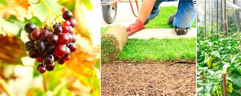 Дела | Календарь Дел для садовода и огородника | Календарь Дел для ...