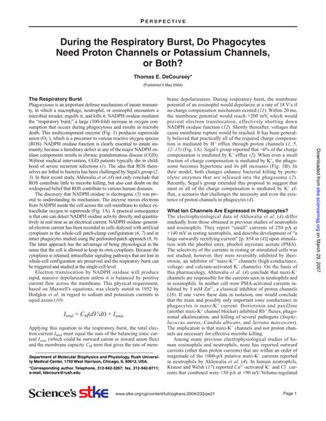 (PDF) During the Respiratory Burst, Do Phagocytes Need Proton Channels ...