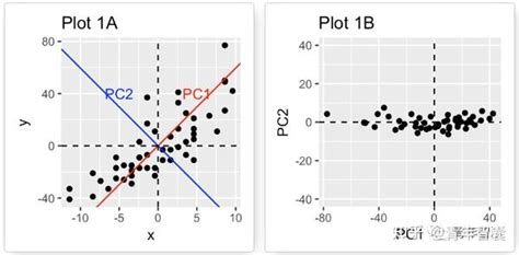 主成分分析 PCA 从基本思想到分析和绘图一文搞定基于R语言 全网最详细PCA分析教程 全文两万三千余字 知乎