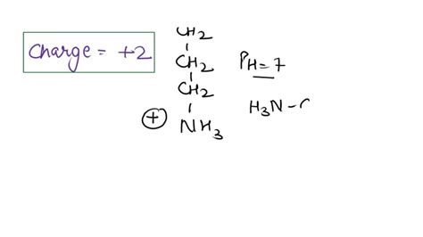 Solved Draw Structure Of Amino Acid Lysine Depicting Different Ionic