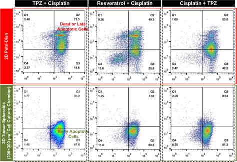 Density Plots Of Flow Cytometry Analysis On Apc Annexin V And Aad