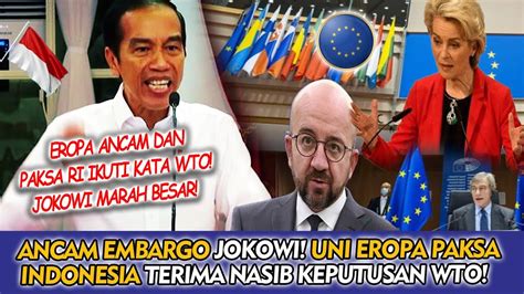 Ancam Embargo Jokowi Uni Eropa Paksa Indonesia Terima Nasib Keputusan