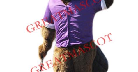 College Beaver Mascot Costume Free Shipping