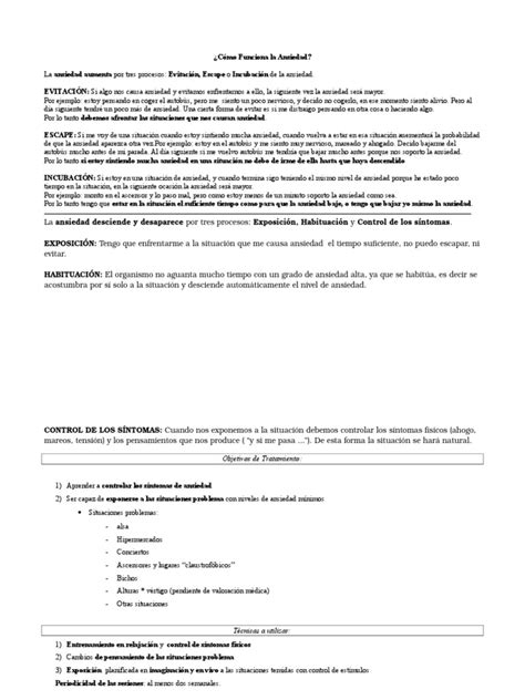 Pdf C Mo Funciona La Ansiedad Dokumen Tips