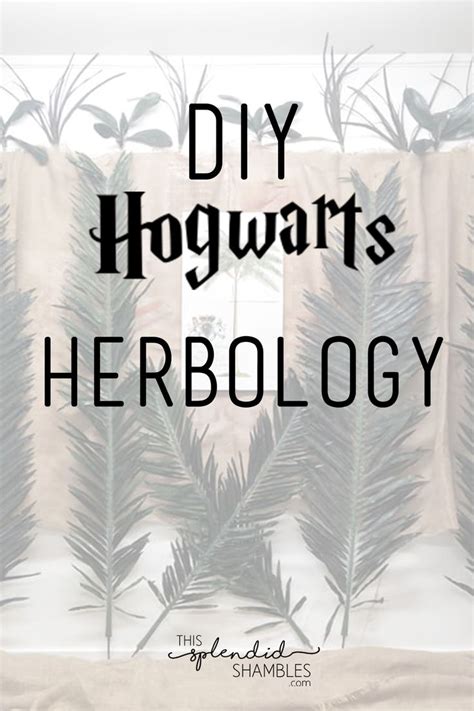 The Ultimate Hogwarts Dinner Event How To Create A Herbology Class Harry Potter Activities