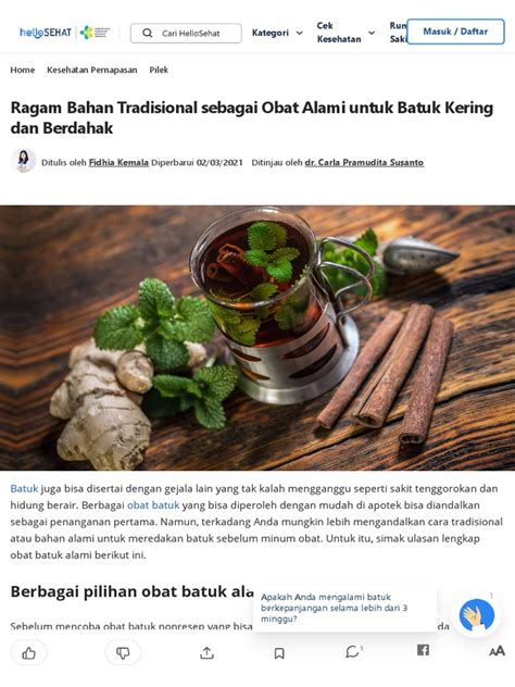 12 Obat Batuk Alami Untuk Batuk Kering Dan Berdahak | PDF