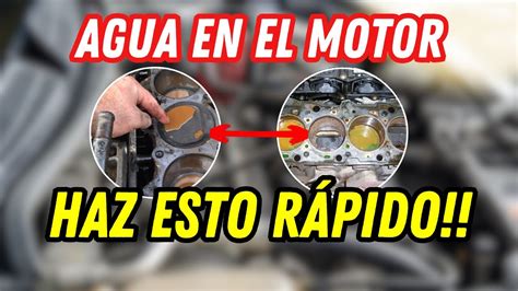 Que Hago Si Pasa Agua Al Aceite Del Motor Porque Paso Esto Y Como Lo