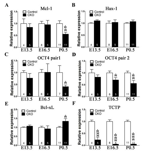 Cell Viability And Octamer Binding Transcription Factor Oct