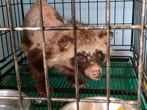 あなたはだぁれ？？？動物トピックス｜ブログ野毛山動物園公式サイト｜公益財団法人 横浜市緑の協会