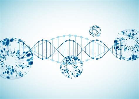 Wetenschapsmalplaatje Behang Of Banner Met Een Dna Molecules Vector