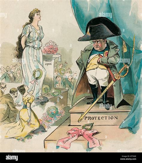 Napoleon Political Cartoon