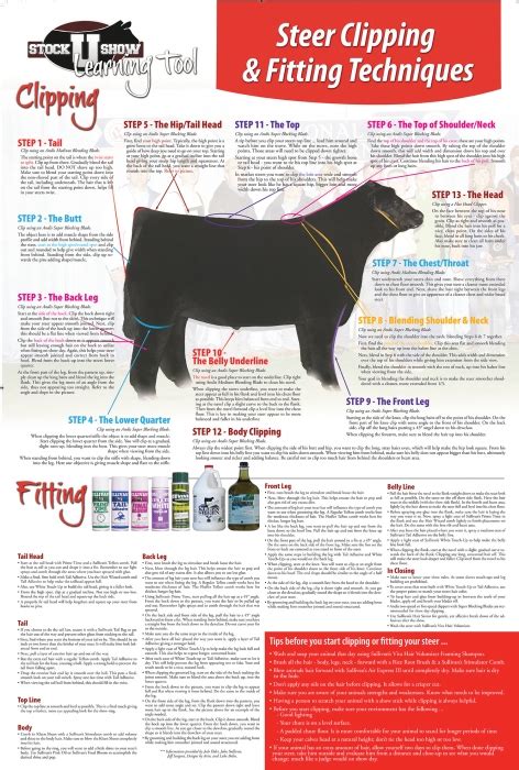 Sullivans Steer Clipping And Fitting Techniques Poster