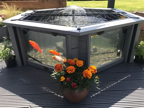 Lily Clear View Garden Aquarium Raised Hexagon Fish Pond With Etsy