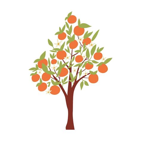 Un Dibujo De Un Rbol Con Naranjas Y Hojas Verdes Vector Premium