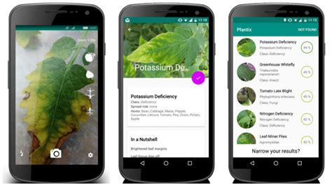 The Disease Detection App Plantix Is Empowering Indian Farmers