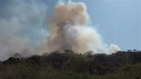 Ministerio De Defensa Reporta 82 Incendios Forestales Activos En Bolivia