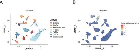 Q Bulk Rna